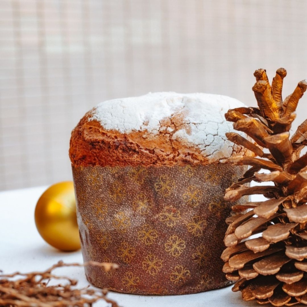 Chocottone Especial Boníssima