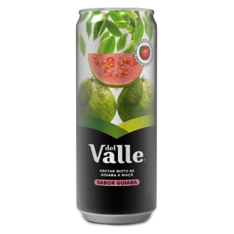 SUCO DE GOIABA DEL VALLE 290ML