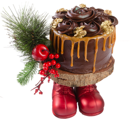 [52712] TORTA CHOCONOZES